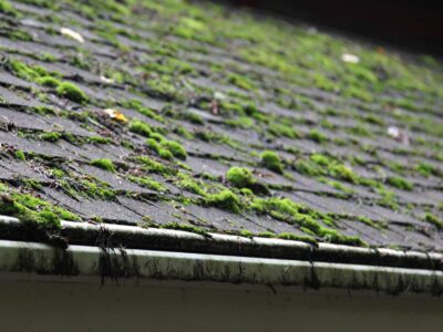 How much does roof cleaning cost Brixham