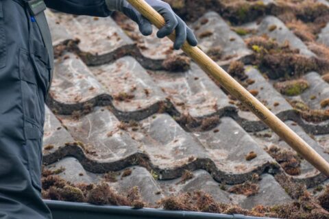 Roof Moss Removal Brixham TQ5