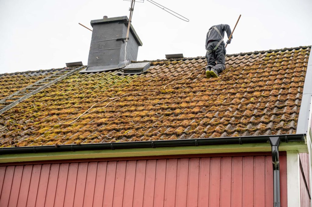 Roof moss removal Newton Abbot roof moss removal
