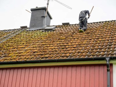 Brixham roof cleaning company