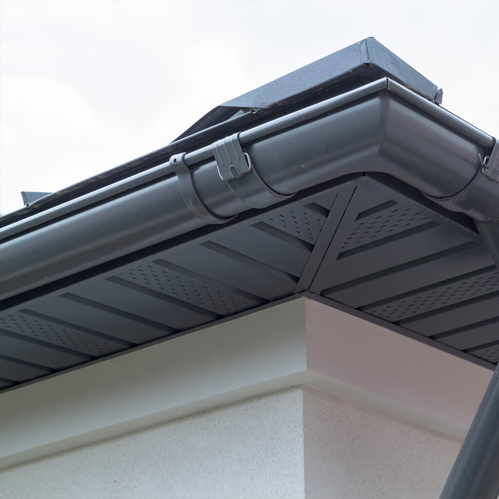 Local gutter cleaning company Newton Abbot