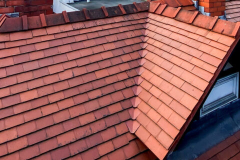 Dry Ridge Roofing in Newton Abbot