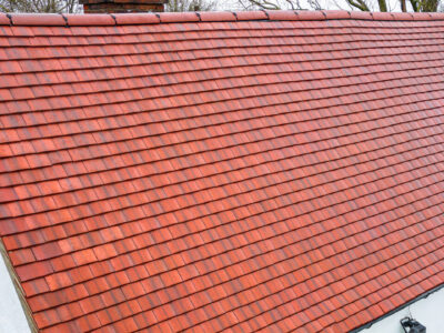 Brixham roof moss removal