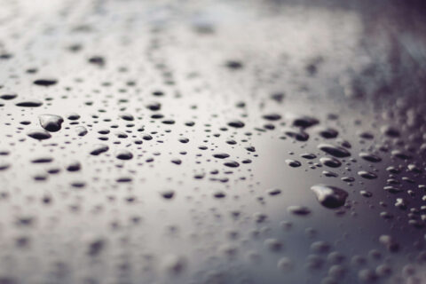 Professional Damp Proofing in Barnstaple